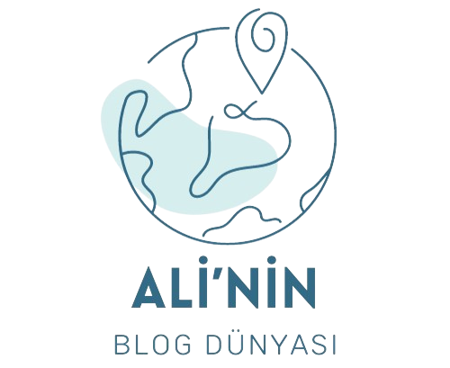 Ali'nin Blog Dünyası